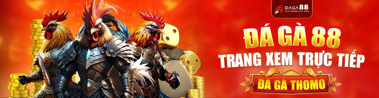 Hình ảnh đá gà trực tuyến sôi động tại W88sports